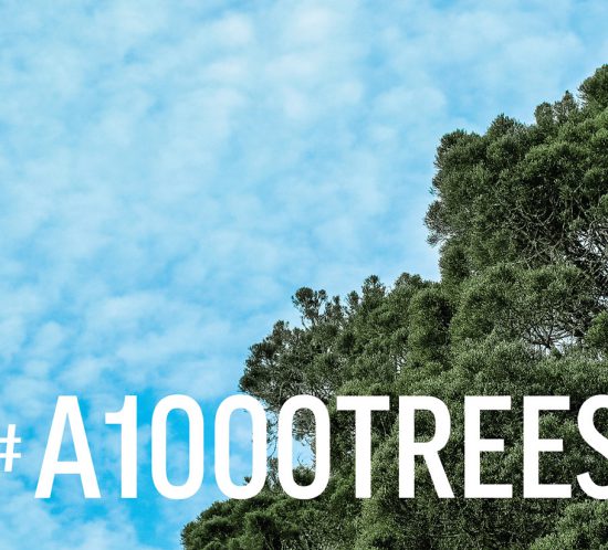 A1000TREES-plantation-drive-using-social-media