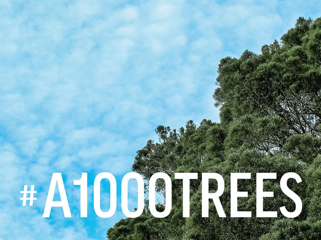 A1000TREES-plantation-drive-using-social-media